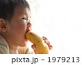 バナナを齧る赤ちゃん