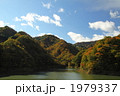 秋の紅葉谷　壱