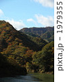 秋の紅葉谷　弐