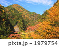 岐阜県川浦渓谷の秋の紅葉