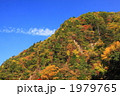 岐阜県川浦渓谷の秋の紅葉
