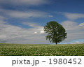 1980452