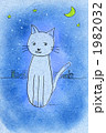 Night Cat Night Cat