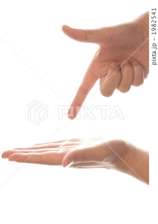手 手のひら 両手