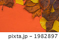 1982897