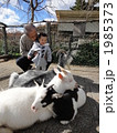 ヤギとのふれあい体験
