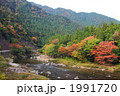 秋の板取川