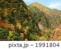 秋晴れの川浦渓谷
