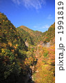 秋晴れの川浦渓谷