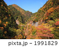 秋晴れの川浦渓谷