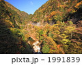 秋晴れの川浦渓谷