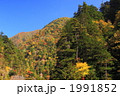 秋晴れの川浦渓谷