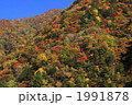 秋晴れの川浦渓谷