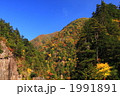 秋晴れの川浦渓谷