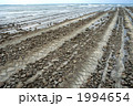 青島の鬼の洗濯板