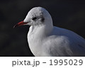 1995029
