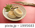 いっこうこう