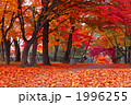 岩手公園の紅葉