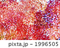 1996505