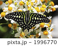 1996770