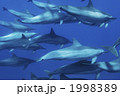 1998389