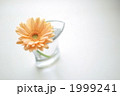 1999241