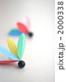 2000338