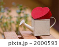エコイメージ