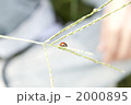 2000895