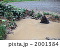 水に浸かる