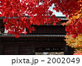 紅葉と城門