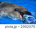 素材ナンバー 2002070 : 「無題」 素材ナンバー 2002070 : 「無題」