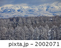 カラマツ林と雪景色