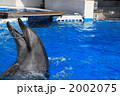素材ナンバー 2002075 : 「無題」 素材ナンバー 2002075 : 「無題」