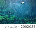 素材ナンバー 2002083 : 「無題」 素材ナンバー 2002083 : 「無題」