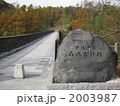 森のかけ橋