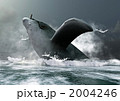 素材ナンバー 2004246 : 「幻想世界（クジラとともに）」