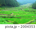 2004353