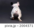 どっこいしょー