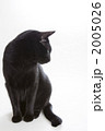 2005026