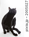 2005027