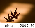 2005159
