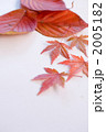 2005182