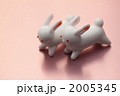 白うさぎ
