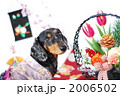 2006502
