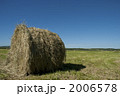 2006578