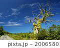 2006580
