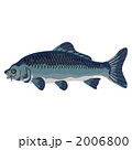2006800