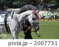 ブリンカーをつけた馬