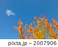 秋の空